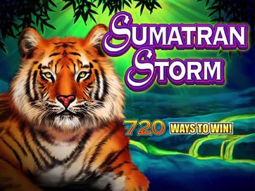 Sumatran Storm